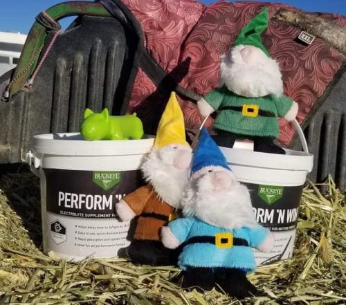 07:11:33 GMT-0800 (PST).image