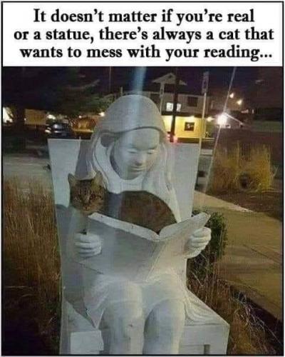 20:26:34 GMT-0500 (EST).image