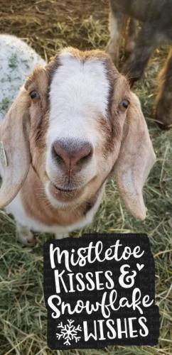 19:42:21 GMT-0800 (PST).image