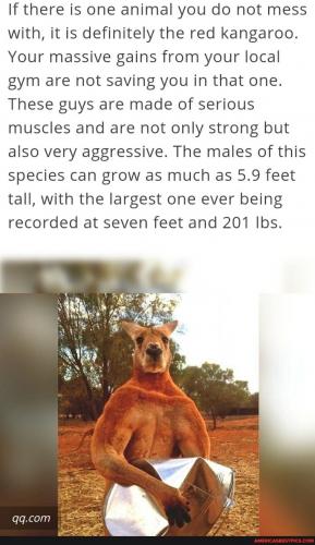 23:06:07 GMT-0600 (CST).image