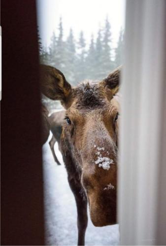 18:12:31 GMT-0700 (MST)