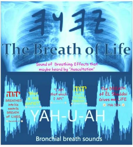 48e16c375b50552ff795a568b44d2be6