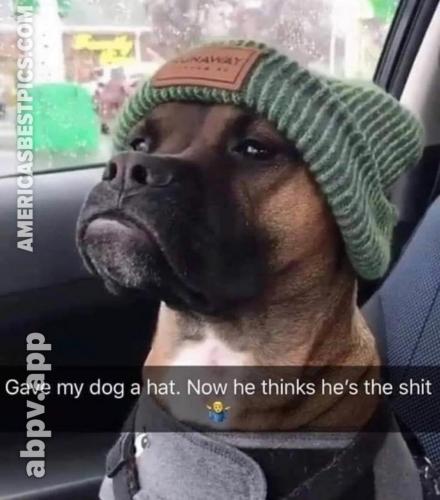 00:42:46 GMT-0600 (CST).image