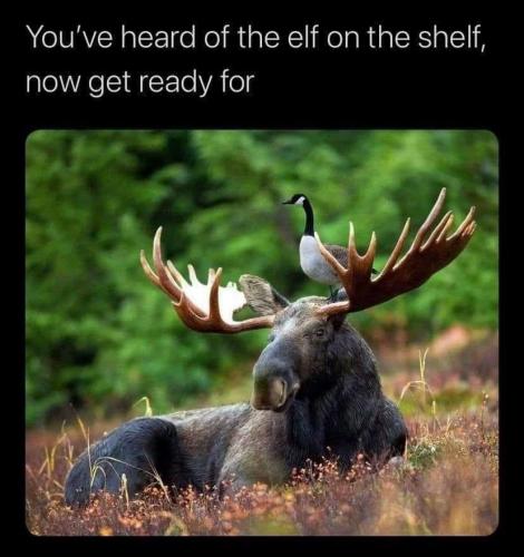 10:46:38 GMT-0700 (MST).image