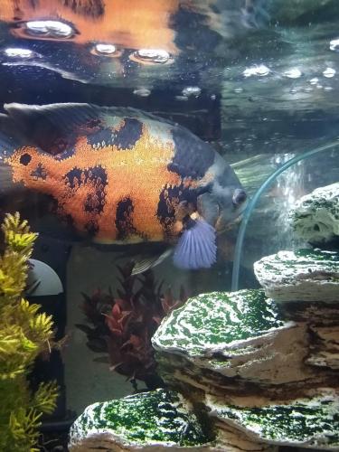 05:30:24 GMT-0600 (CST)