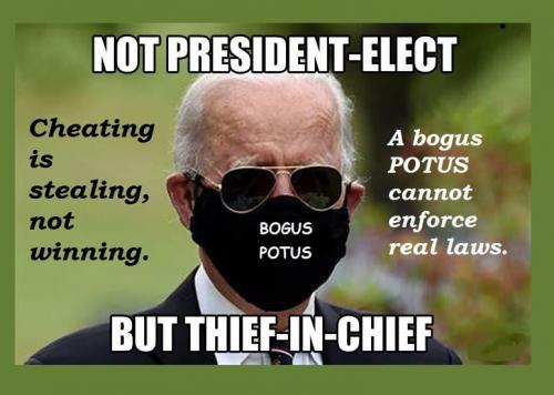 biden_bogus_potus