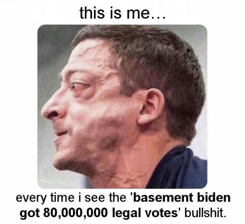 voterfraud101