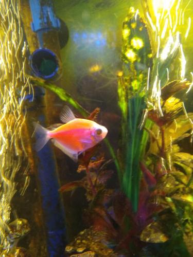 05:18:34 GMT-0600 (CST)