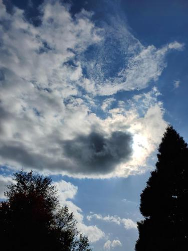 16:05:27 GMT-0800 (PST)