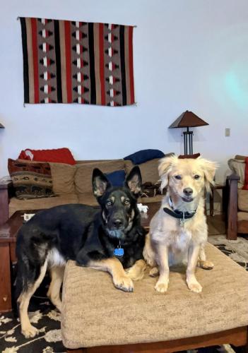 4C3FBB1B-BC5C-4173-900A-B00B767278C6