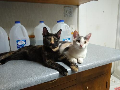 IMG_20201015_154412360