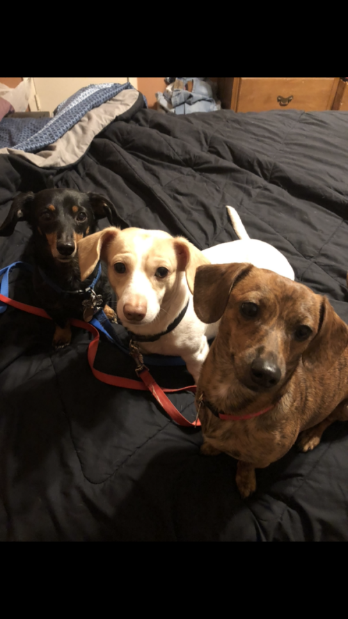 B9B6AB6D-34EB-4FE2-A9A6-FE7A93C573DB