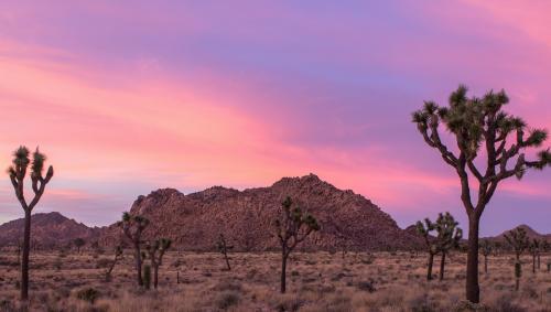 Happy New Year 2021 2