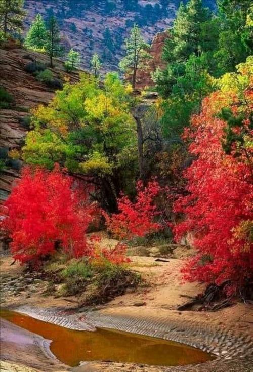 18:48:18 GMT+0100 (WAT)