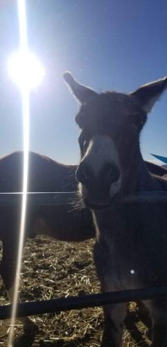 07:11:33 GMT-0800 (PST).image