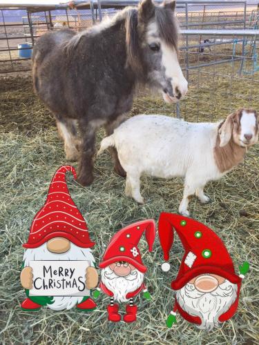 19:53:55 GMT-0800 (PST).image