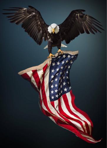 07:15:37 GMT-0500 (EST).image