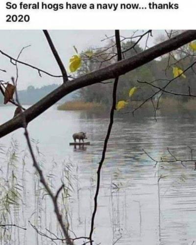 20:57:12 GMT-0500 (EST)