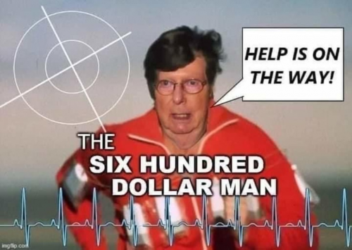 600 dollar man