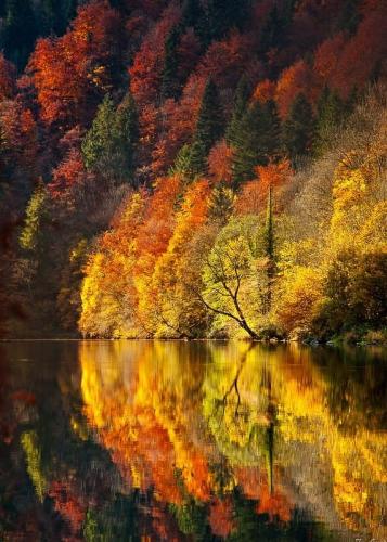 131208847_10218339326385723_4432846525650557397_n