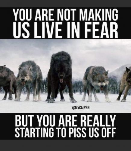 22:04:58 GMT-0600 (CST)