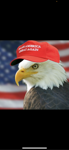 06:30:03 GMT-0600 (CST).image