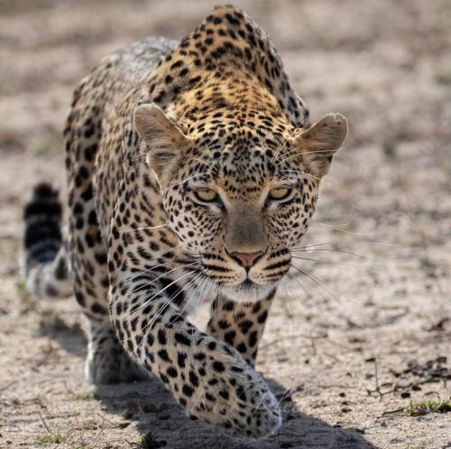 131980435_673588399985387_1046237352761462026_o