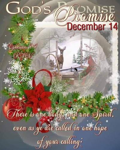 22:12:01 GMT-0600 (CST)