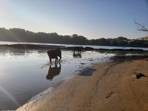 06:48:06 GMT-0500 (EST)