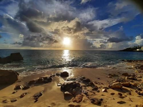 CA4795AA-ADDF-4CC8-B66A-621EB1EC446A