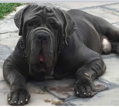 12:03:38 GMT+0100 (WAT).image