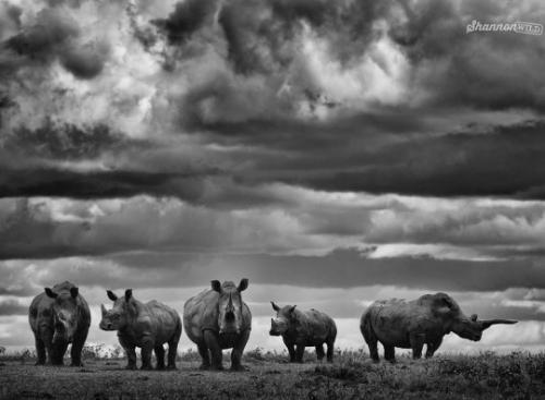 tumblr_5d6882d49a971ffa79a90d8afe720ac9_aa9d142b_540