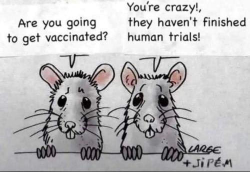 11:02:54 GMT+0000 (GMT)