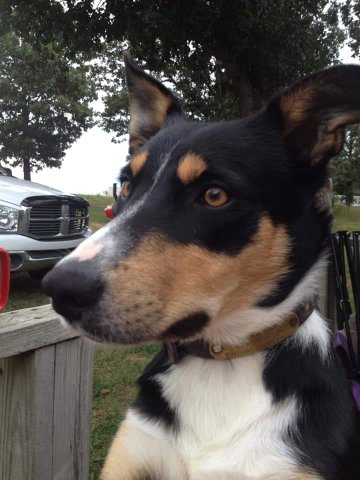 22:59:09 GMT+0100 (WAT)