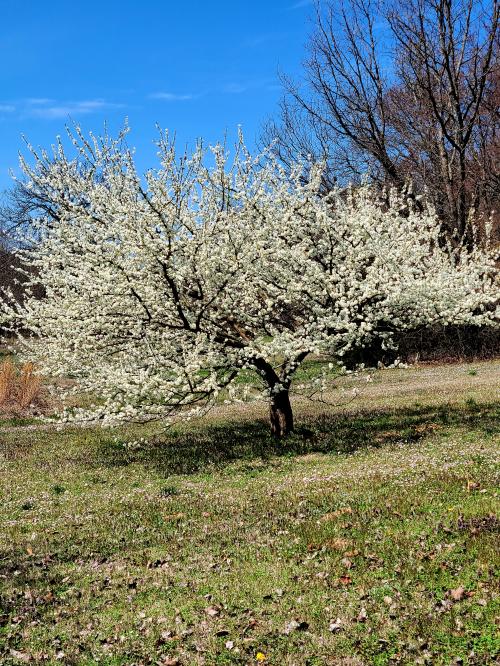 21:46:20 GMT-0600 (CST)