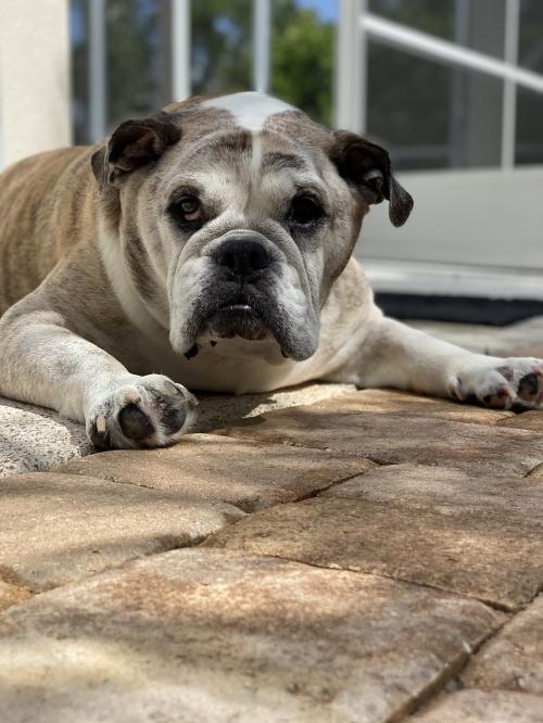 15:19:11 GMT-0500 (EST).image