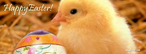 15462-easter-chick