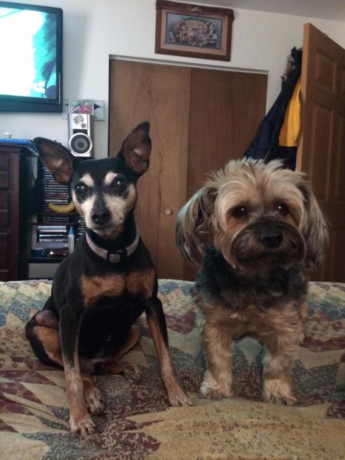 15:03:36 GMT-0500 (EST).image