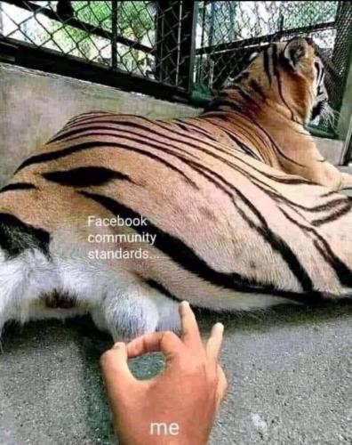 F7A66764-D62E-4146-BEBB-93E06DB07418