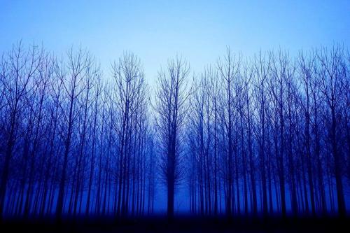 130100112_3084779934955454_7661979686311820059_n