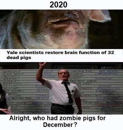 853f8eca46ea27695397eb9348ee3c32