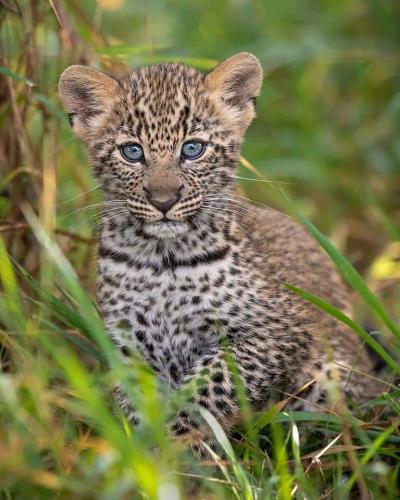 07:00:28 GMT-0600 (CST)