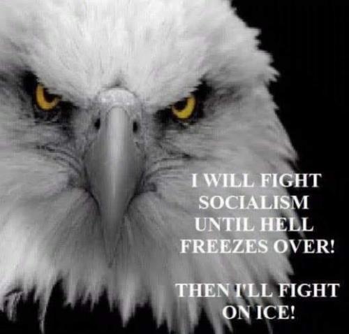 21:12:47 GMT-0600 (CST).image