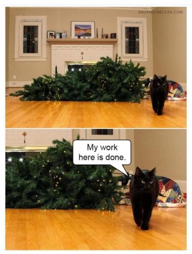 03:45:20 GMT-0800 (PST).image