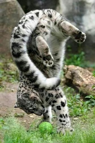 12:02:29 GMT-0600 (CST)