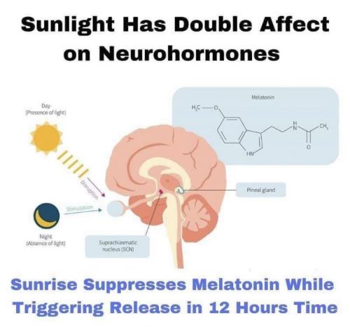 08:25:54 GMT-0600 (CST).image