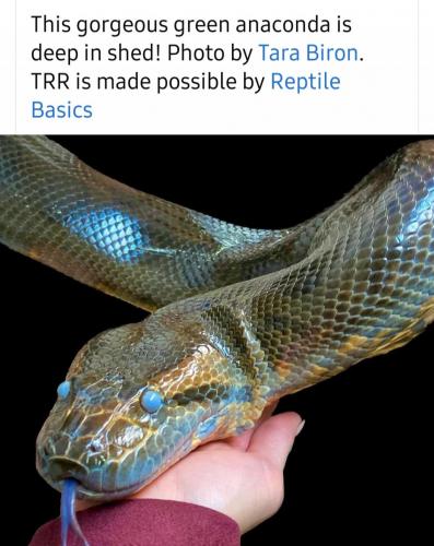 10:39:57 GMT-0500 (EST)