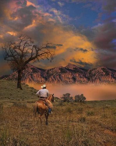 131891635_10215577614948193_8783286858603434578_n