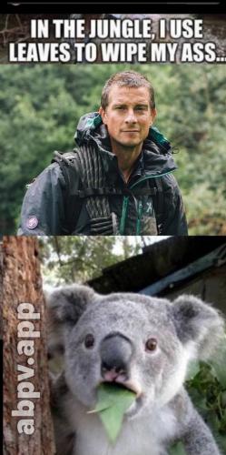 03:07:20 GMT-0600 (CST).image