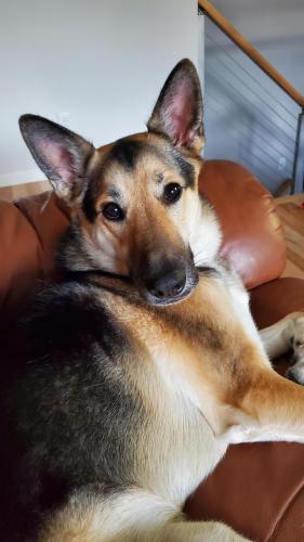 18:30:52 GMT-0600 (CST)